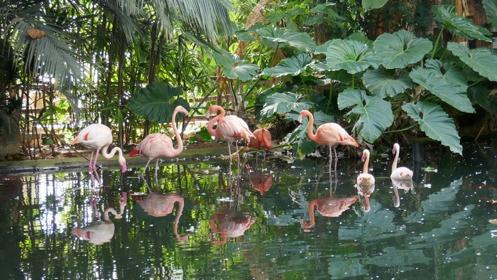 cliquer pour agrandir